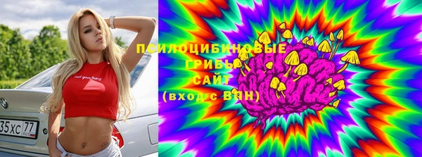 сатива Володарск