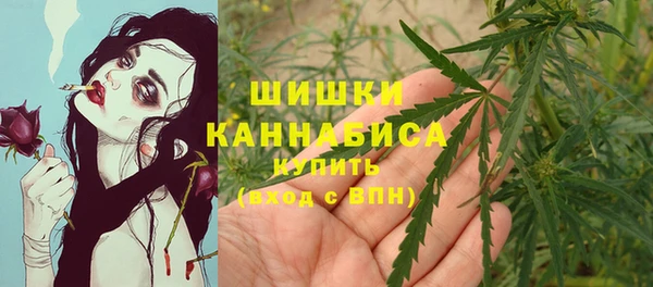 гашик Верея