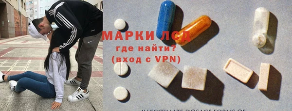 сатива Володарск